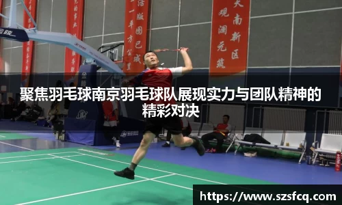 聚焦羽毛球南京羽毛球队展现实力与团队精神的精彩对决